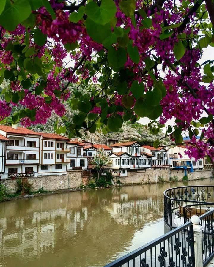 Hotel Sehri̇-Zade Yalisi Amasya Exterior foto